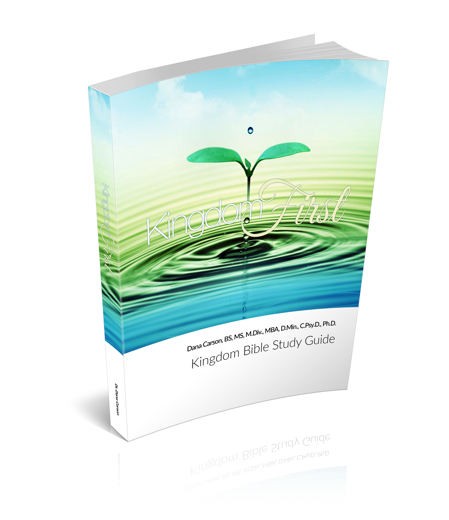 Kingdom First Kingdom Bible Study Guide