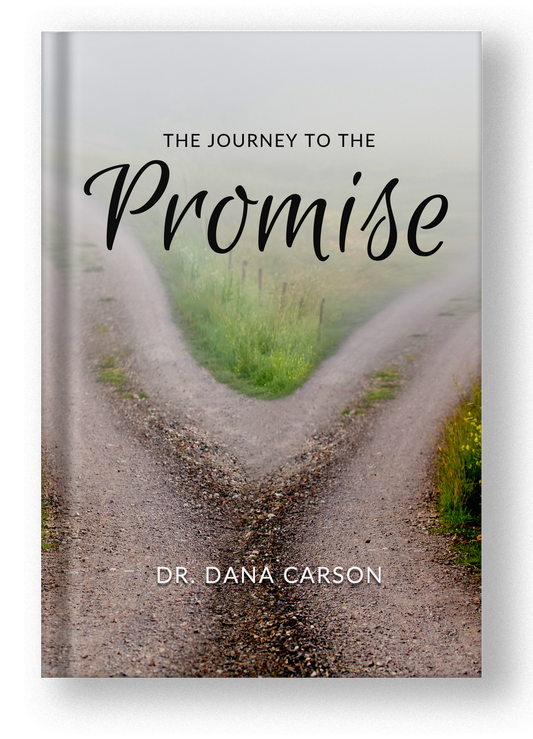 The Journey to the Promise Kingdom Bible Study Guide