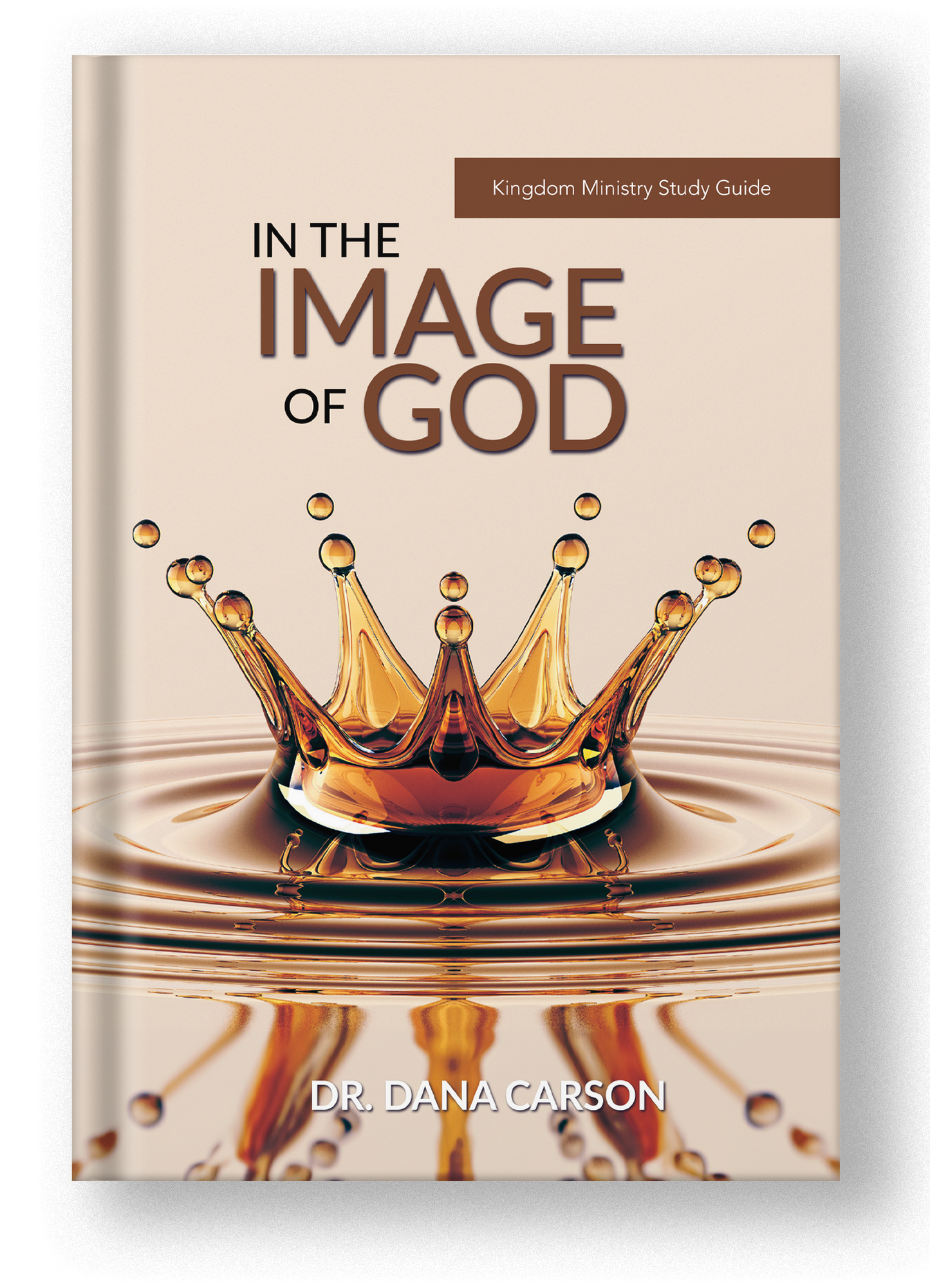 In the Image of God Kingdom Bible Study Guide