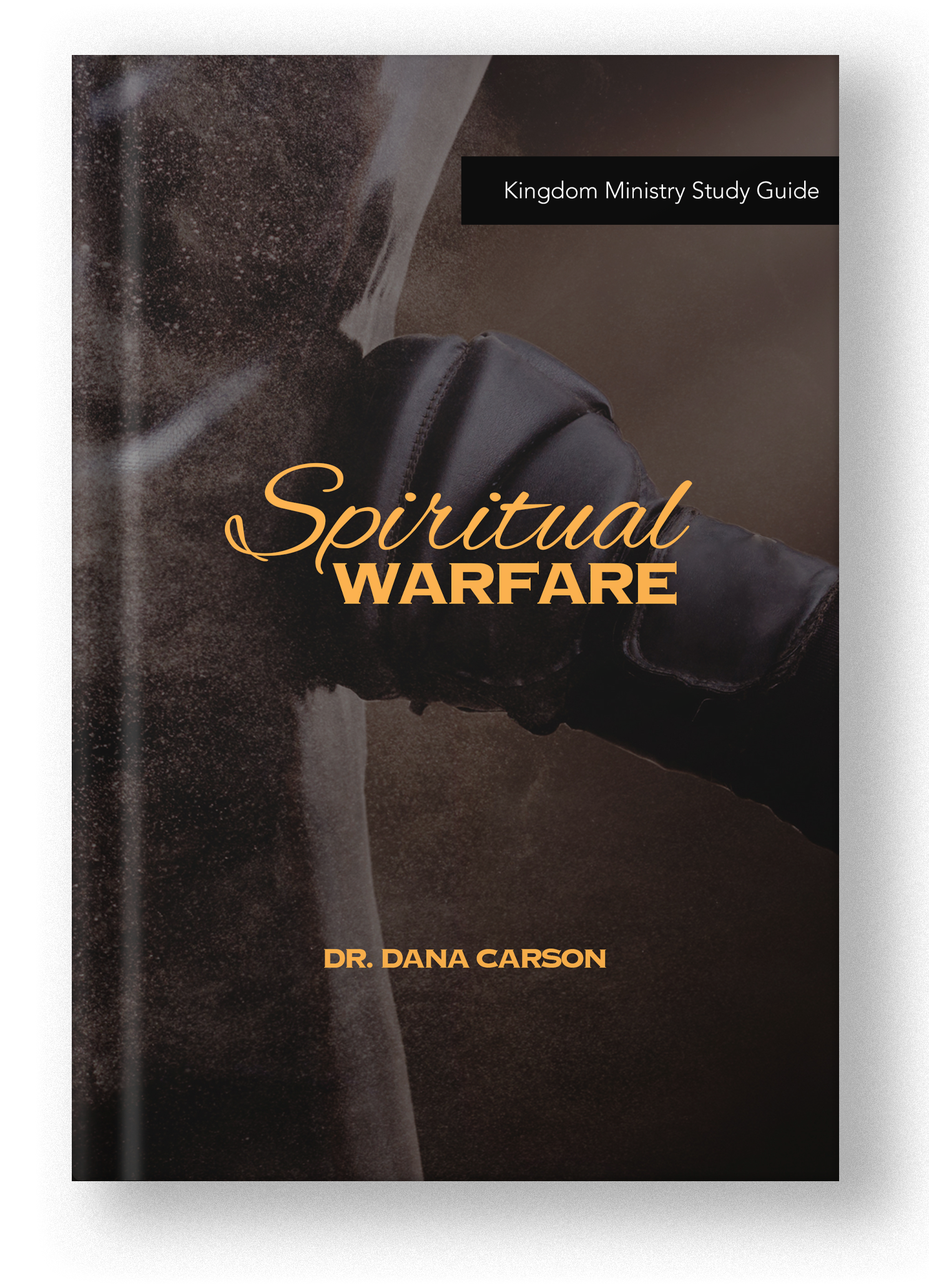 Spiritual Warfare (2024) Kingdom Bible Study Guide – Kingdom Superstore