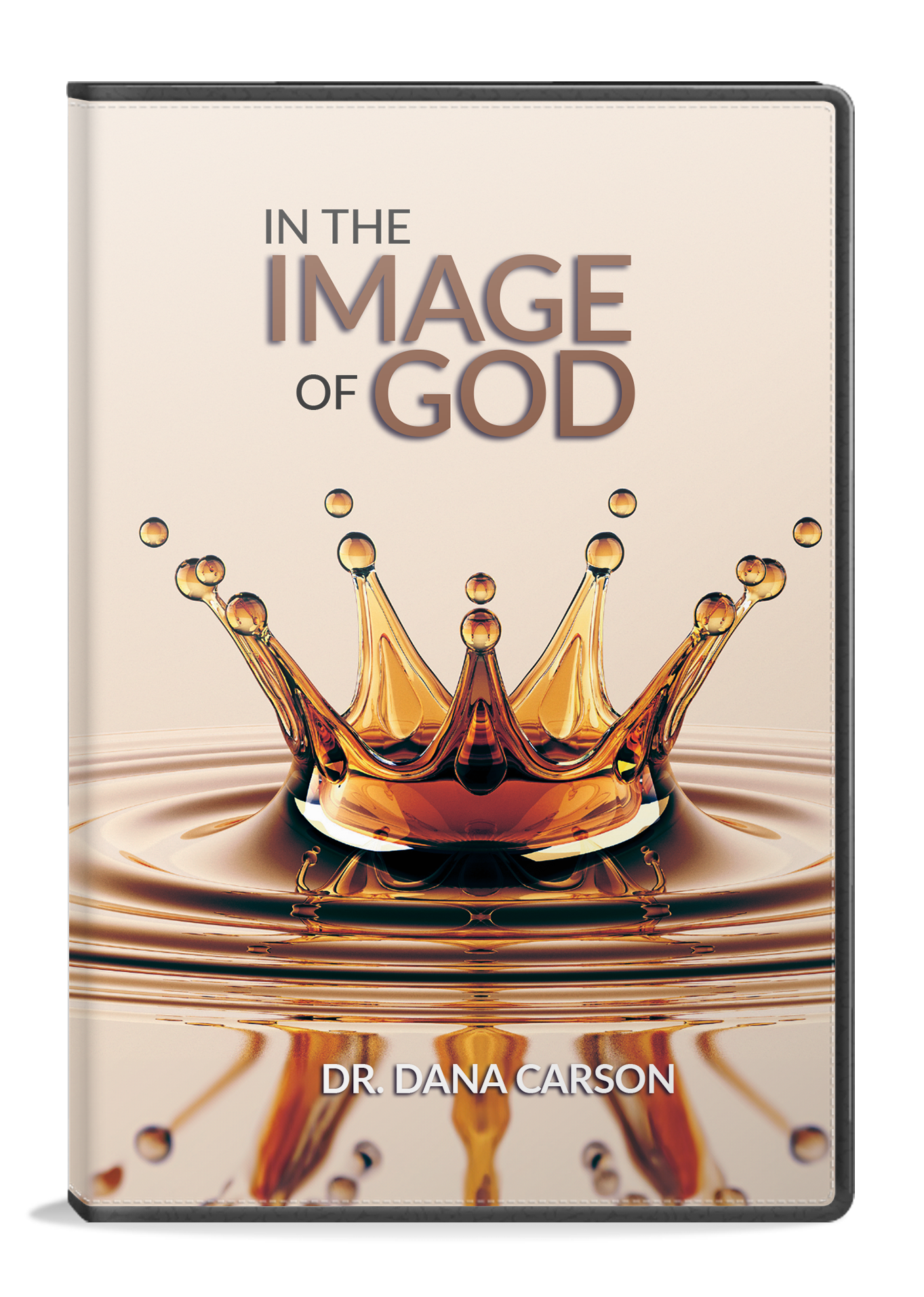 In the Image of God Series