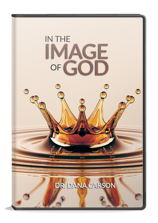 In the Image of God Series