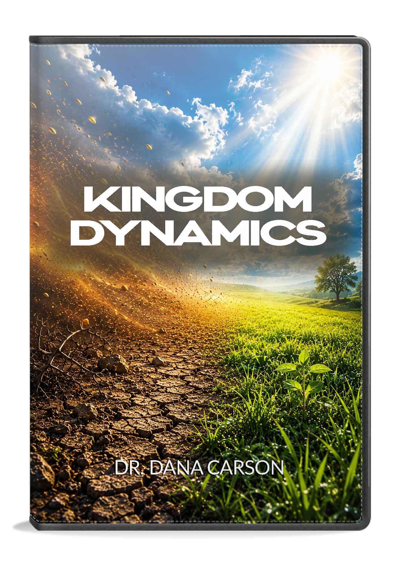 Kingdom Dynamics Series
