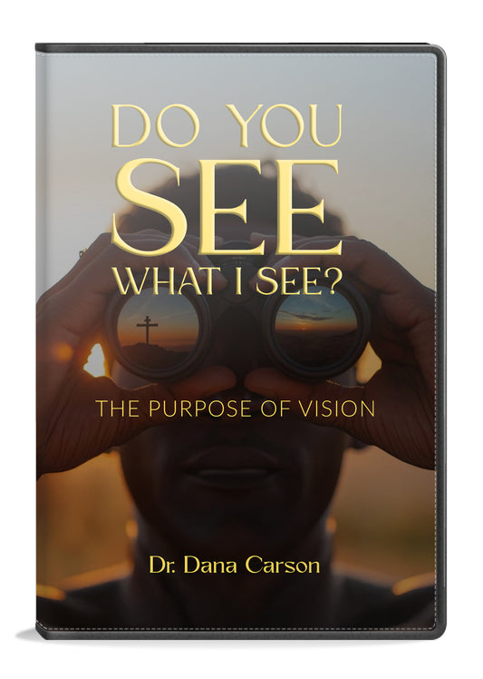 How to Handle Vision: Be Pro-Vision