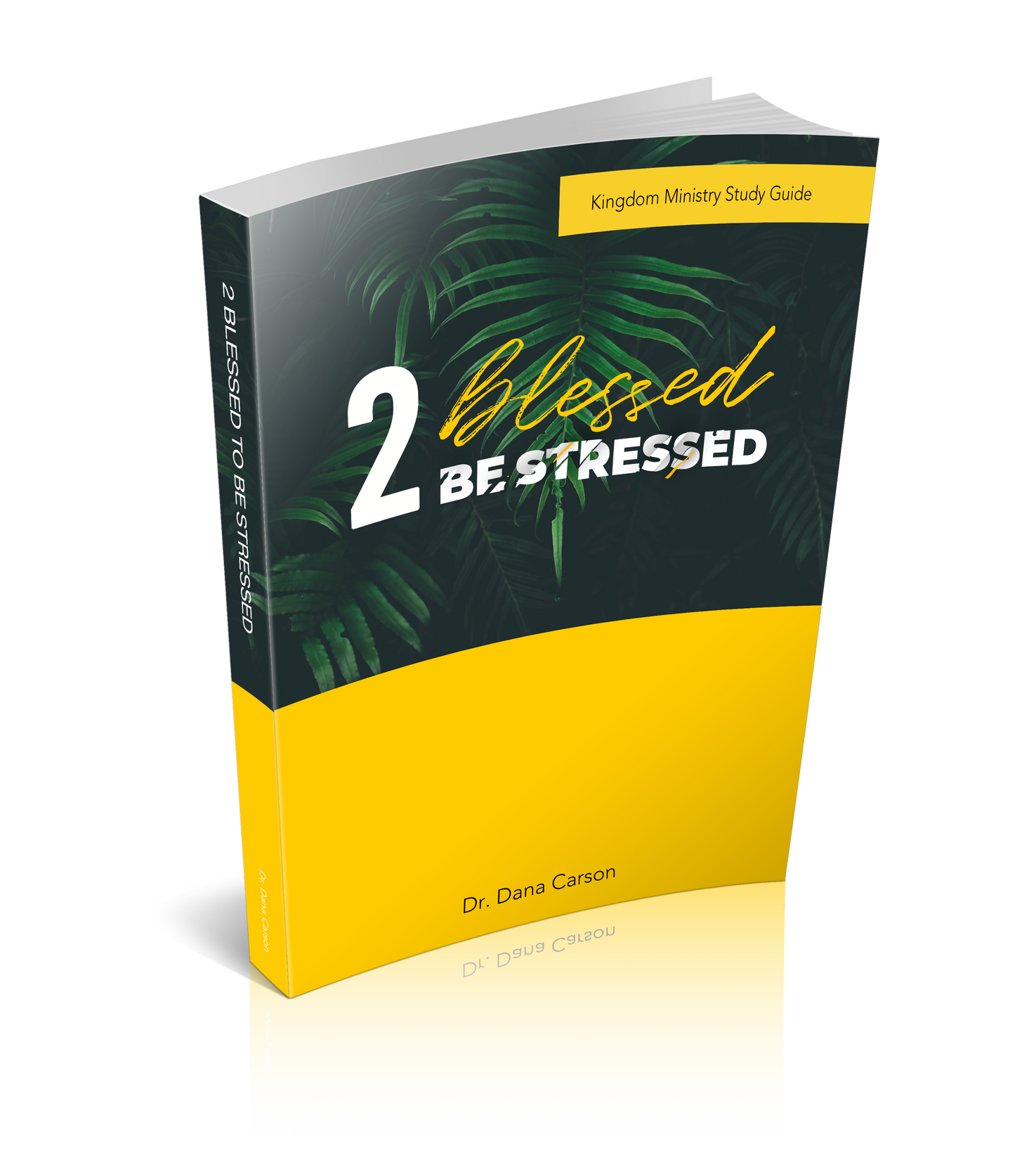 2 Blessed 2 Be Stressed Kingdom Bible Study Guide