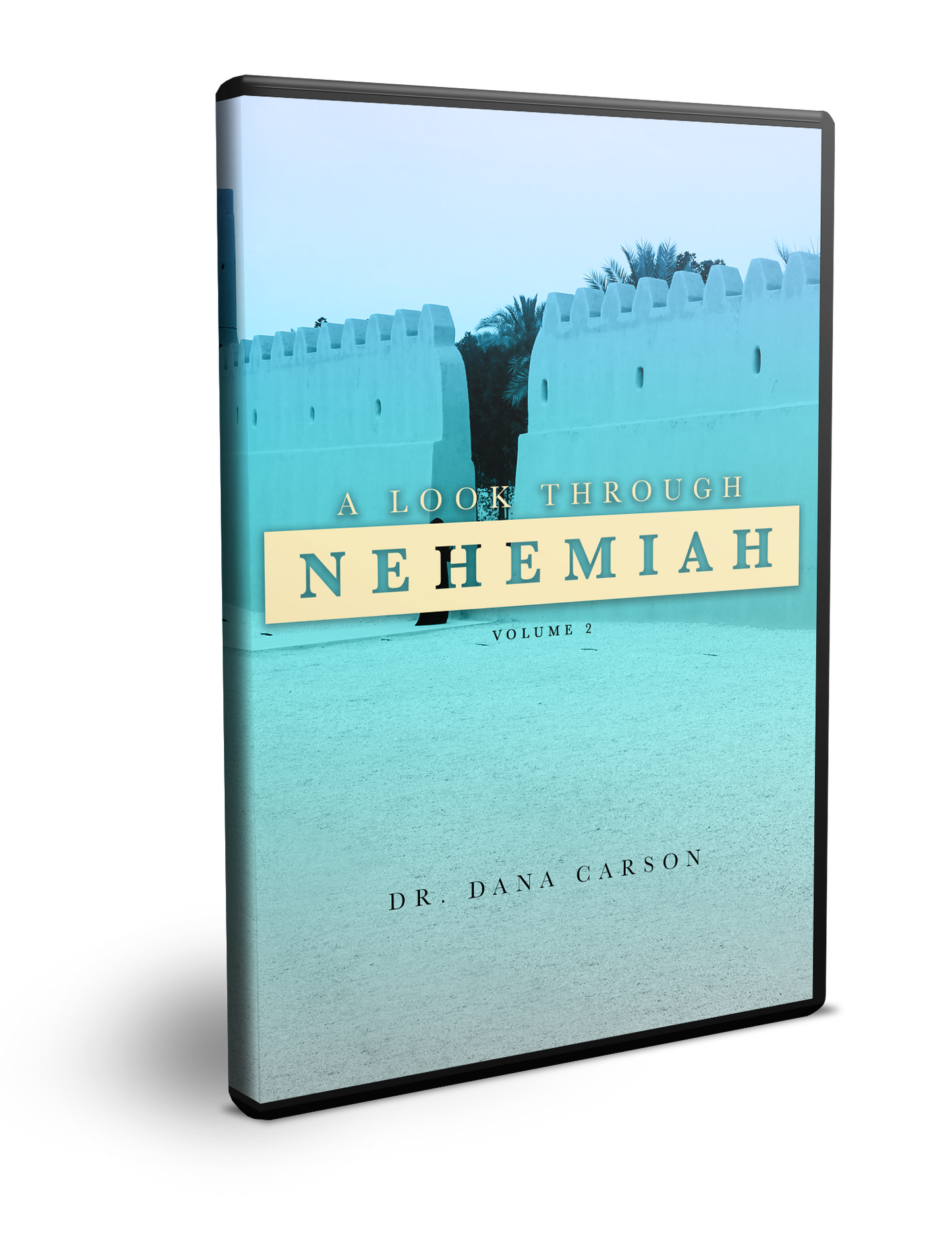 A Look at the Book of Nehemiah Volume 2 Series