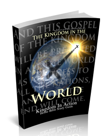 The Kingdom in the World Kingdom Bible Study Guide