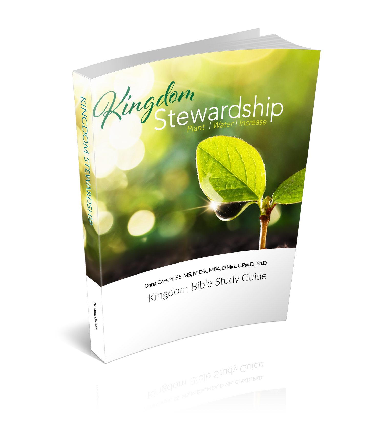 Kingdom Stewardship Kingdom Bible Study Guide (2018)