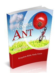 Lessons From the Ant Kingdom Devotional Guide