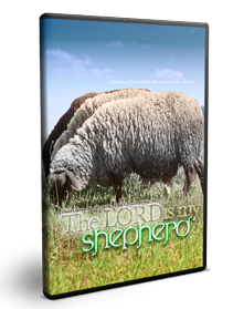The Work of the Shepherd