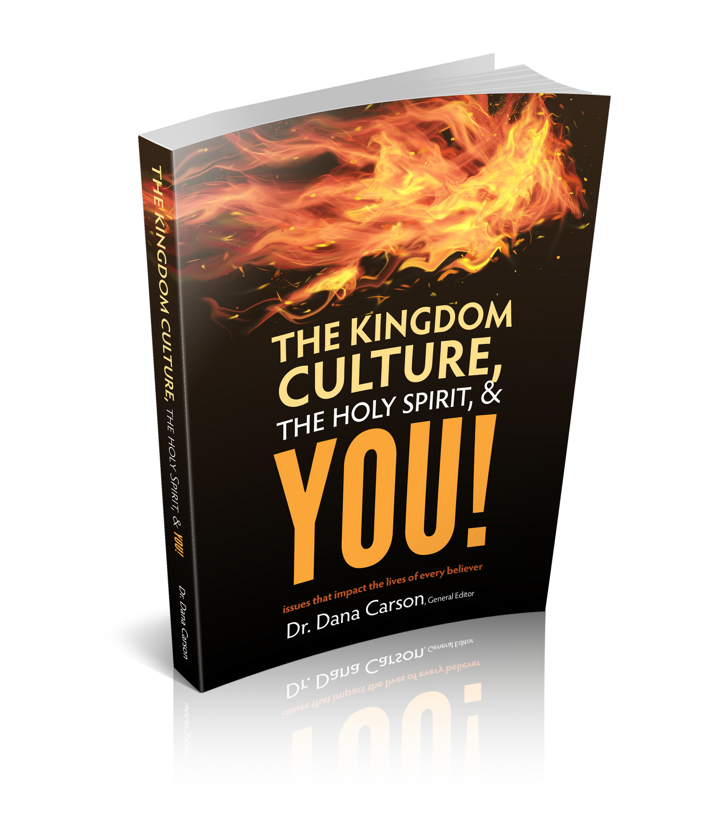 The Kingdom Culture, the Holy Spirit & YOU!